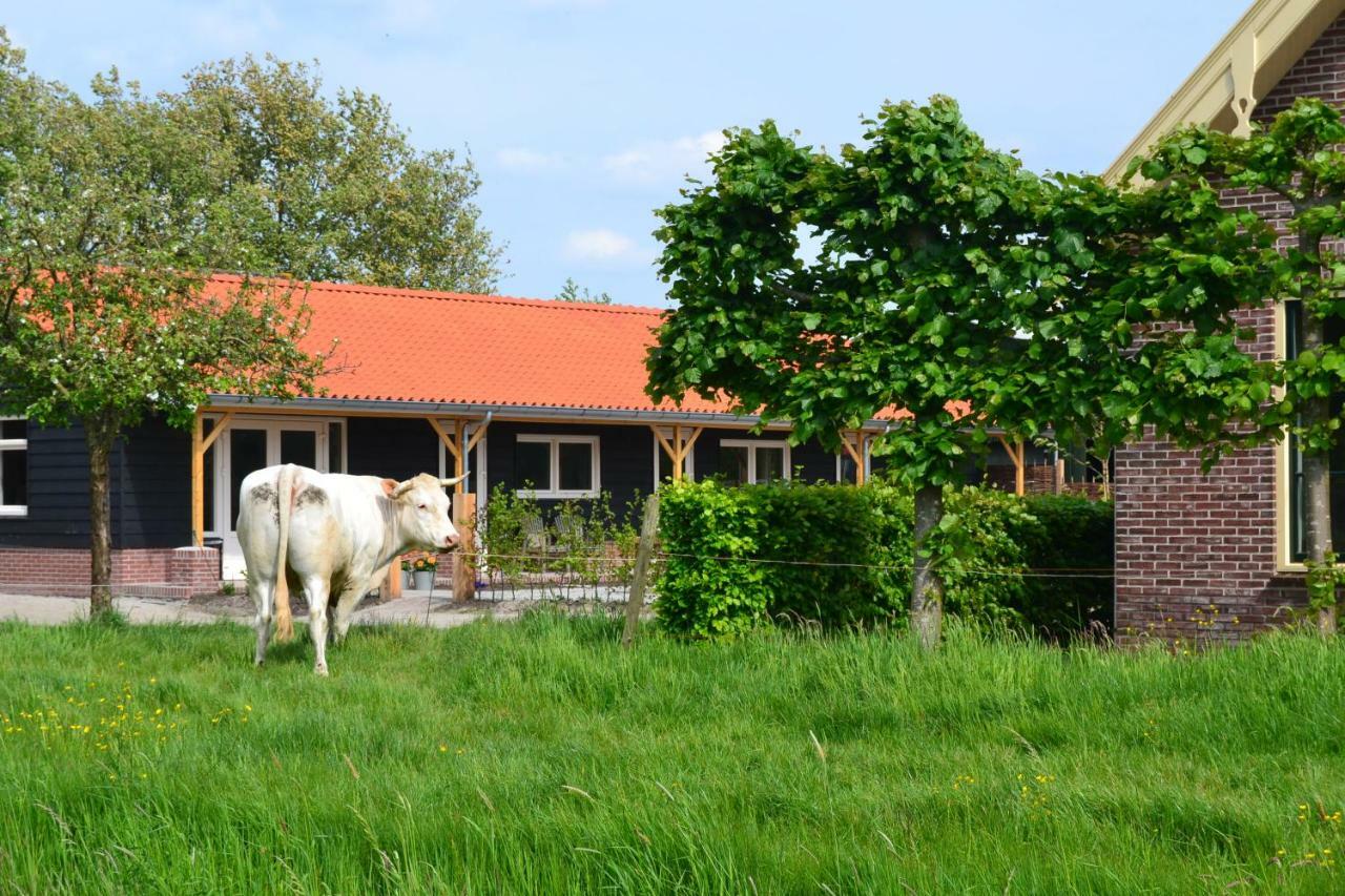 B&B de Boerenzwaluw Harmelen Buitenkant foto